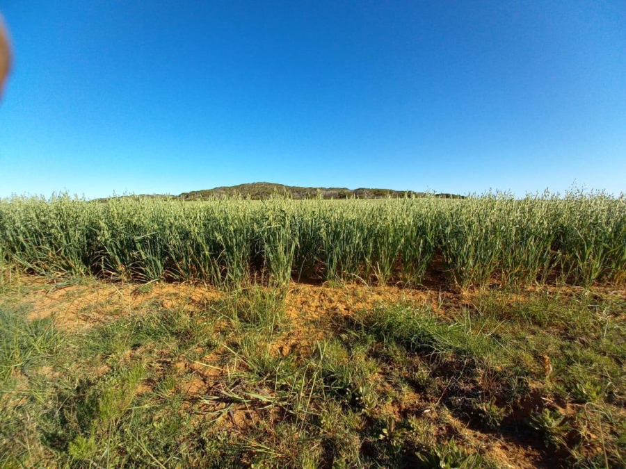 0 Bedroom Property for Sale in Riversdale Rural Western Cape